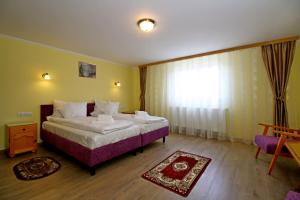 a hotel room with a bed and a window at Pensiunea Nelu & Klein in Sibiu