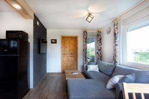 a living room with a blue couch and a tv at Honey apartments in Žirovnica