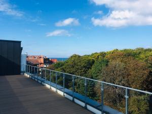 Príroda v okolí apartmánu