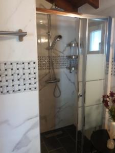 a shower with a glass door in a bathroom at VILLA TELLINA in Skiathos Town +23 photos