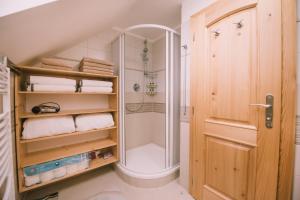 a bathroom with a shower and a walk in shower at Wellness Chata Relax Ostružná in Ostružná +48 photos