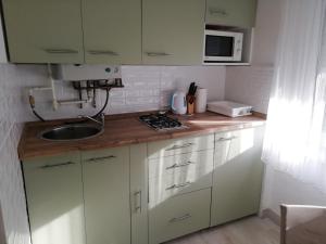 Kuchyň nebo kuchyňský kout v ubytování Apartment Poljak + 13 fotografií