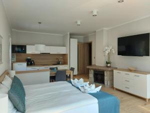 Η κουζίνα ή μικρή κουζίνα στο Apartamenty Willa Atena