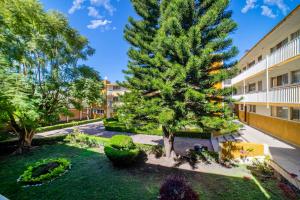 Κήπος έξω από το Suite Estilo y Ubicación 150MB Home Office Zaragoza El Prado C13
