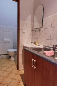 ビストシツァ・クウォツカにあるDomek letniskowyのバスルーム(洗面台、トイレ付)