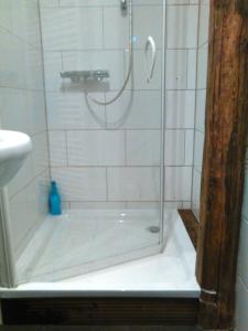 a shower with a glass door in a bathroom at Mario's fachwerkhaus am Huy in Schlanstedt