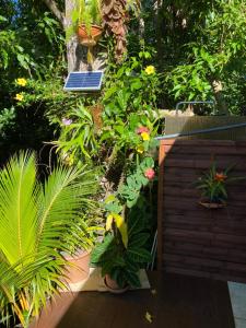 a garden with potted plants and a solar panel at Le Filao in Pointe-Noire