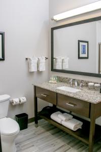 a bathroom with a sink and a toilet and a mirror at Holiday Inn & Suites Denver Tech Center-Centennial, an IHG Hotel in Centennial