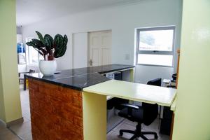 a kitchen with a counter with a potted plant on it at Relaxing Guest House in th Heart of Ndabeni in Cape Town