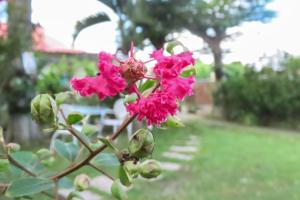 תמונה מהגלריה של Xiangyang Tianyuan Ju Homestay בDongshan