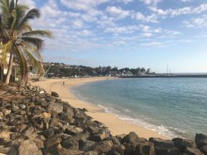 una spiaggia con una palma e l'oceano di Macatine a Saint-Gilles-les Bains