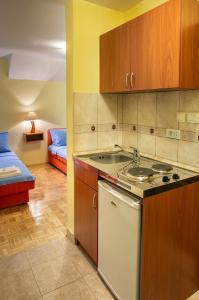 uma cozinha com um lavatório e um fogão forno superior em Apartments Mery em Kolašin