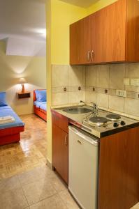 Kuchyň nebo kuchyňský kout v ubytování Apartments Mery