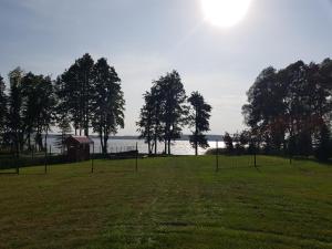 Príroda v okolí horskej chaty