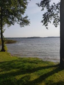 Príroda v okolí horskej chaty