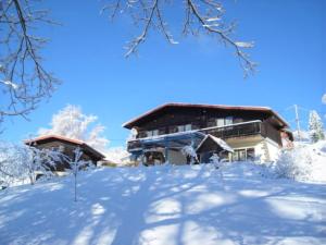 una casa en la cima de una ladera cubierta de nieve en Chalet Les Chardons, en Gérardmer