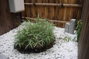 Κήπος έξω από το Ems-an