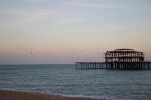 My Brighton