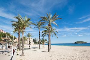 a row of palm trees on a sandy beach at Magalluf Strip Apartment in Magaluf