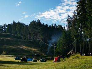 a group of tents in a field with trees at Kempings Ozolkalns in Cēsis
