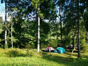 two tents in a field next to trees at Kempings Ozolkalns in Cēsis