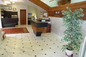 a kitchen with a plant in the middle of a room at Hotel Iris in Genoa