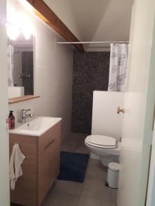 een badkamer met een toilet, een wastafel en een spiegel bij Diekinkshof in Laren