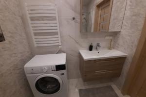W łazience znajduje się pralka i umywalka. w obiekcie Apartamentai Giluzes Rivjera w Wilnie