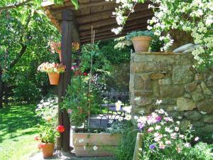 Zahrada ubytování Casas rurales Caño Chico y La Fuente