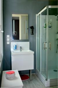 uma casa de banho com um lavatório e uma cabina de duche em vidro. em Gite l'Escale Malo em Dunkerque