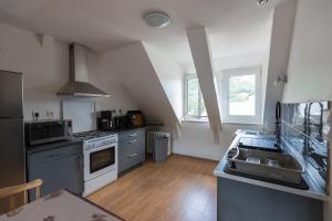 een keuken met een spoelbak en een fornuis bovenste oven bij La Belle Arverne in Albepierre-Bredons