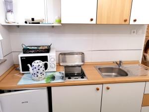 Kuchyň nebo kuchyňský kout v ubytování Apartmani Paula