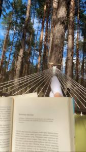 an open book with a persons hand in a forest at Peledos troba in Žiūrai