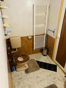 Къща за гости Голямо Дряново في Golyamo Dryanovo: حمام مع مرحاض في الغرفة