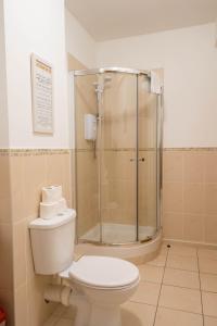 a bathroom with a shower and a toilet in it at The Courtyard Apartments in Carrick on Shannon