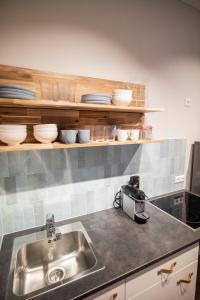 Dapur atau dapur kecil di Apartments Leopold Ferdinand