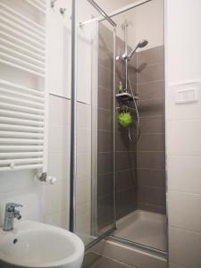 uma casa de banho com um chuveiro e um lavatório. em Appartamento Bellavista em Martinsicuro