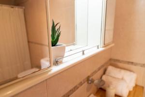 a bathroom with a window and a potted plant on a window sill at Piso 9 Vista panorámica a la ciudad in La Plata +21 photos