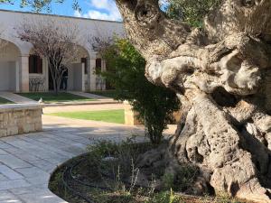 Foto dalla galleria di Hotel Relais Antica Masseria a Turi