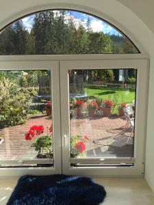 Ogród w obiekcie Apartamenty Krystyna