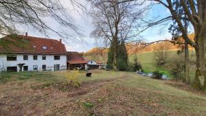 Vrt u objektu Ferienwohnung auf idyllischen Gestüt auf historischen Gutshof in Hessen