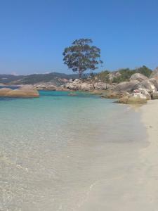 a beach with a tree in the middle of the water at Apartamento Muiño Bueu in Bueu