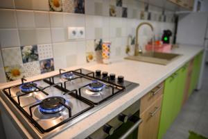 佛羅雷斯提的住宿－Aparthotel Riana，厨房配有炉灶烤箱