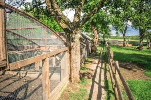 una cerca con un árbol al lado de un campo en Ubytovanie V Súkromí Samuel, en Myjava