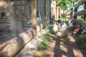Giardino di Ubytovanie V Súkromí Samuel