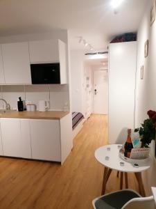 Kuchnia lub aneks kuchenny w obiekcie Blue Zet Apartament