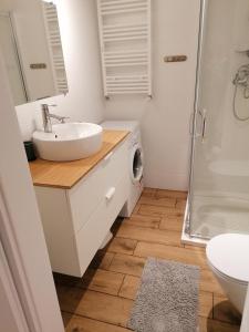 a bathroom with a sink and a washing machine at Blue Zet Apartament in Sarbinowo