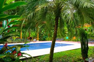 un palmier à côté d'une piscine dans l'établissement La Paz del Caribe, à Puerto Viejo