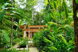 a small house in the middle of a forest at La Paz del Caribe in Puerto Viejo