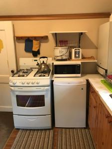 a kitchen with a stove and a microwave at Holiday Lodge Cabins in Banff